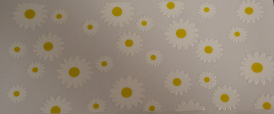 Daisies