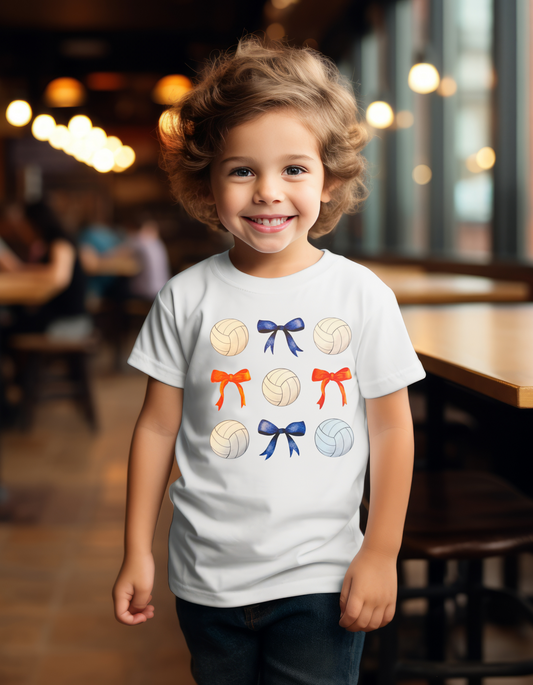 Orange and Blue Volleyball